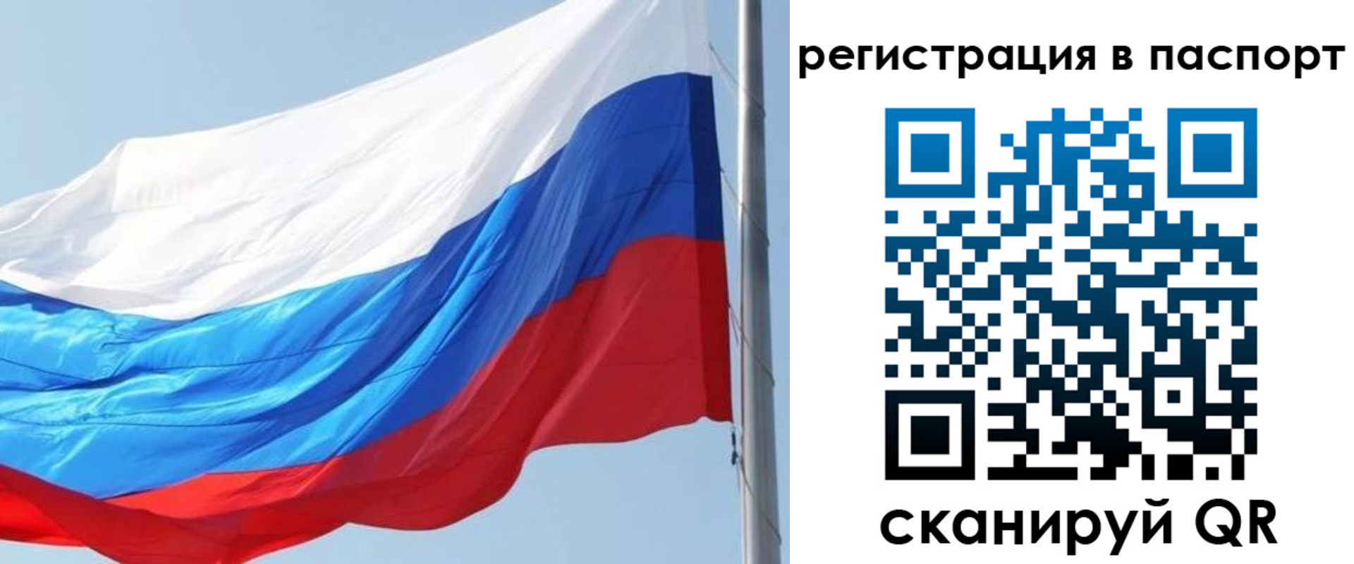 прописка законно в Кораблино
